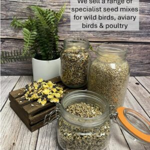 *NEW* 1.5kg PLAIN CANARY SEED MIXED CAGE BIRD FOOD XLDS